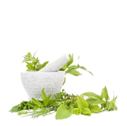das ist ein Testbild